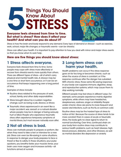 seetres|Everything to Know About Stress: Causes, Prevention, and More.